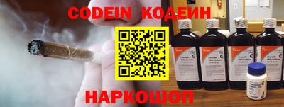 apvp Камышлов
