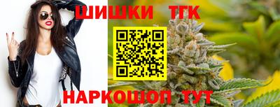 гашик Кандалакша