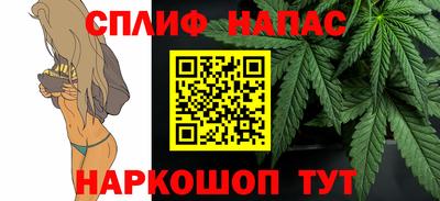 гашик Кандалакша
